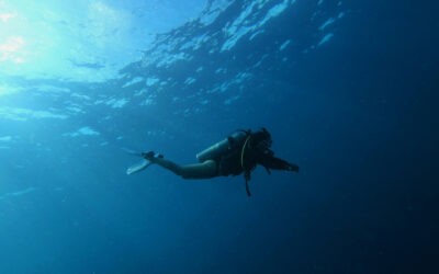 Guía completa de buceo en invierno en Mallorca: mejores sitios, condiciones y consejos