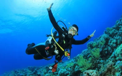 Cursos de buceo por niveles en Mallorca