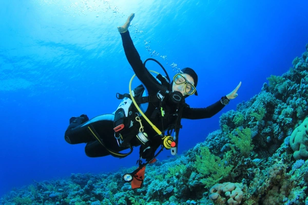 Buceo en Mallorca Buceo en Mallorca