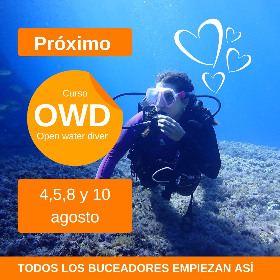 Curso OWD Open Water Diver