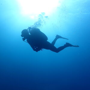 Cursos de buceo