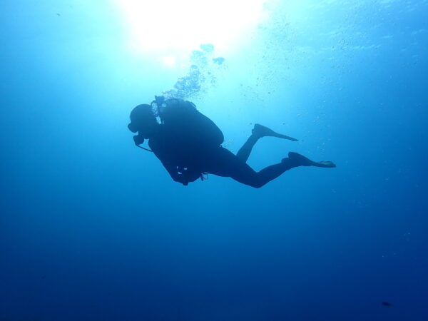 Cursos de buceo