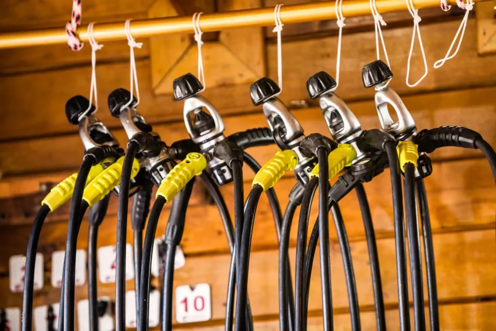 Diving regulator maintenance