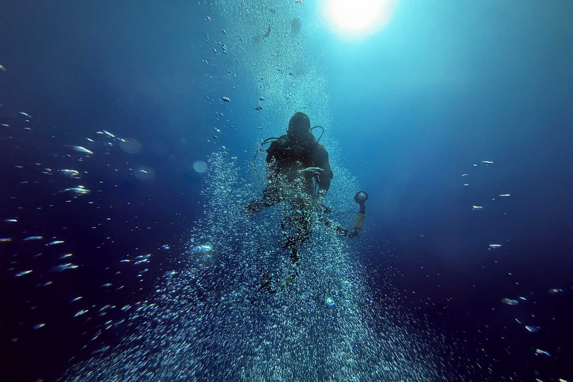 Firusub, Buceo en Mallorca