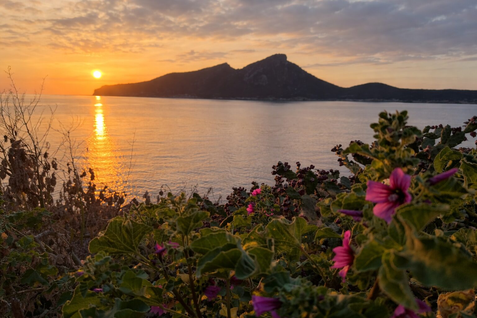 Barca privada para buceo